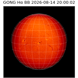 gong - 2026-08-14T20:00:02