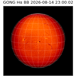 gong - 2026-08-14T23:00:02