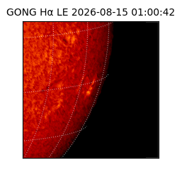gong - 2026-08-15T01:00:42