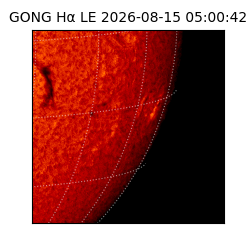 gong - 2026-08-15T05:00:42