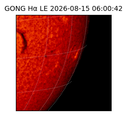 gong - 2026-08-15T06:00:42