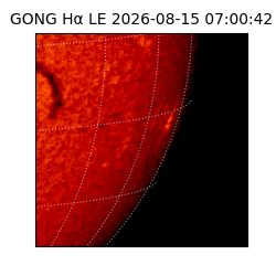 gong - 2026-08-15T07:00:42