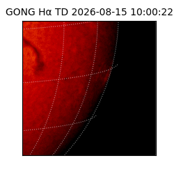 gong - 2026-08-15T10:00:22