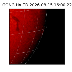 gong - 2026-08-15T16:00:22