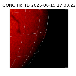 gong - 2026-08-15T17:00:22