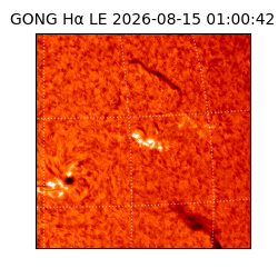 gong - 2026-08-15T01:00:42