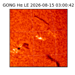 gong - 2026-08-15T03:00:42