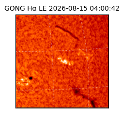 gong - 2026-08-15T04:00:42