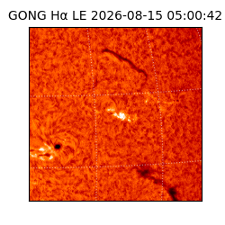 gong - 2026-08-15T05:00:42