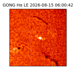 gong - 2026-08-15T06:00:42