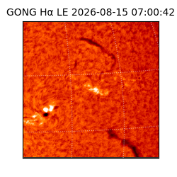 gong - 2026-08-15T07:00:42