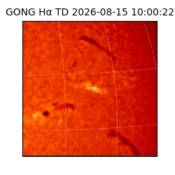 gong - 2026-08-15T10:00:22