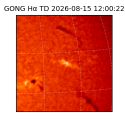 gong - 2026-08-15T12:00:22