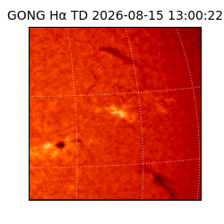 gong - 2026-08-15T13:00:22