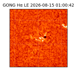 gong - 2026-08-15T01:00:42