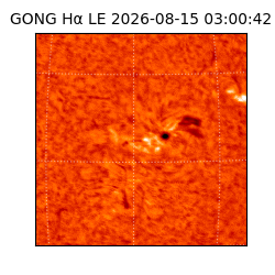 gong - 2026-08-15T03:00:42