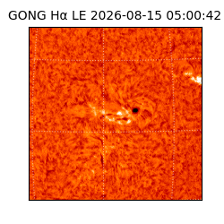 gong - 2026-08-15T05:00:42