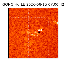 gong - 2026-08-15T07:00:42