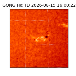 gong - 2026-08-15T16:00:22