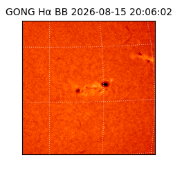 gong - 2026-08-15T20:06:02