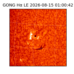 gong - 2026-08-15T01:00:42