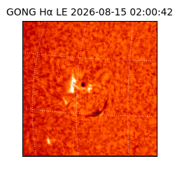 gong - 2026-08-15T02:00:42