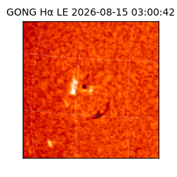 gong - 2026-08-15T03:00:42