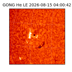 gong - 2026-08-15T04:00:42