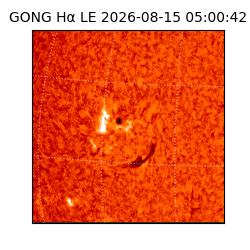 gong - 2026-08-15T05:00:42