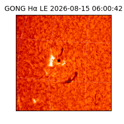 gong - 2026-08-15T06:00:42