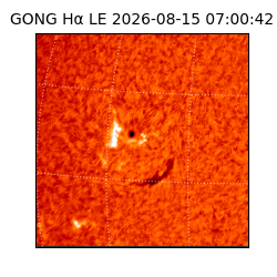 gong - 2026-08-15T07:00:42
