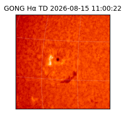 gong - 2026-08-15T11:00:22