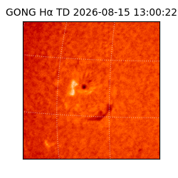 gong - 2026-08-15T13:00:22