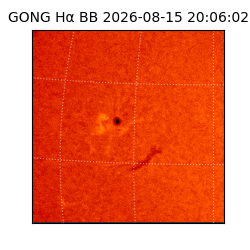 gong - 2026-08-15T20:06:02