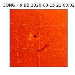 gong - 2026-08-15T21:00:02