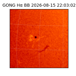 gong - 2026-08-15T22:03:02