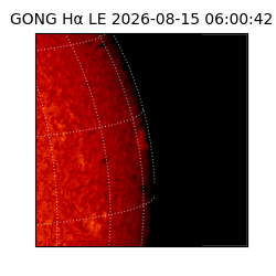 gong - 2026-08-15T06:00:42