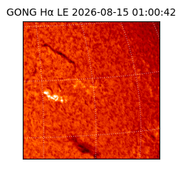 gong - 2026-08-15T01:00:42