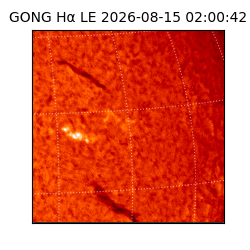 gong - 2026-08-15T02:00:42