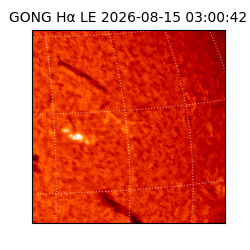 gong - 2026-08-15T03:00:42