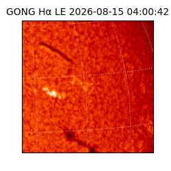 gong - 2026-08-15T04:00:42
