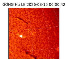 gong - 2026-08-15T06:00:42