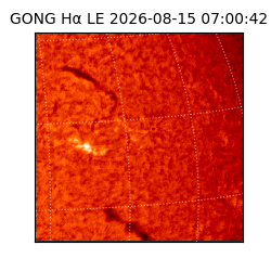 gong - 2026-08-15T07:00:42