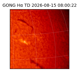 gong - 2026-08-15T08:00:22