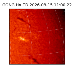 gong - 2026-08-15T11:00:22