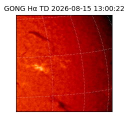 gong - 2026-08-15T13:00:22