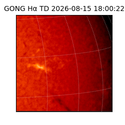 gong - 2026-08-15T18:00:22