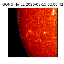 gong - 2026-08-15T02:00:42