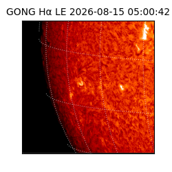 gong - 2026-08-15T05:00:42