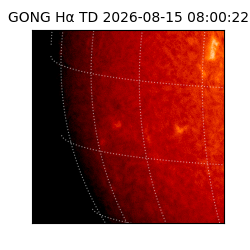gong - 2026-08-15T08:00:22